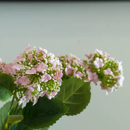 Sea View Diana * 马卡尔斯卡