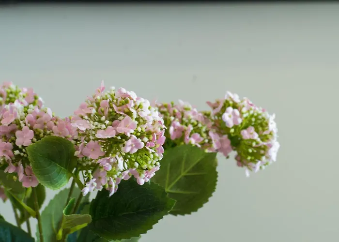 Sea View Diana * Makarska